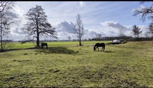 Offenstallplatz für Selbstversorger ab Oktober frei!!!