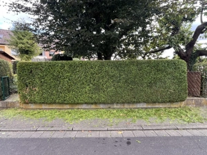 !19% MwSt. sparen! Allround Handwerker Gartengestaltung Terrassenbau Entkernung Entrümpelung Abriss  Bild 7