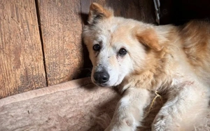 Opa Bärli			 Bild 5