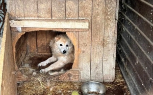 Opa Bärli			 Bild 2