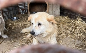 Opa Bärli			 Bild 4