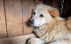 Opa Bärli			 Bild 7