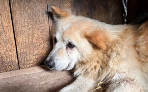 Opa Bärli			 Bild 3