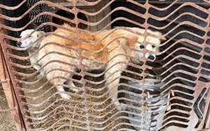 Opa Bärli			 Bild 6