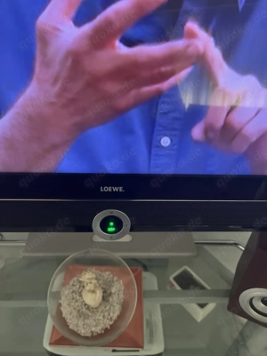 Loewe Connect  sehr gute Zustand funktioniert einwandfrei 