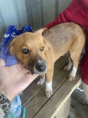 Klein, knuffig - Moritz Bild 3