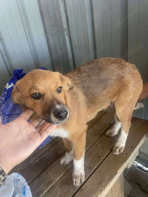 Klein, knuffig - Moritz Bild 5