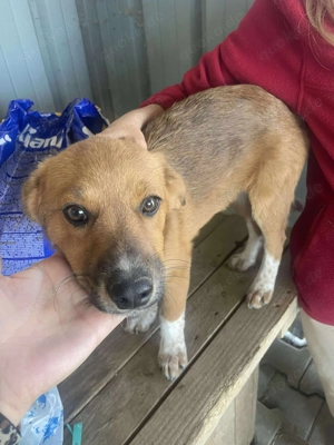 Klein, knuffig - Moritz Bild 4