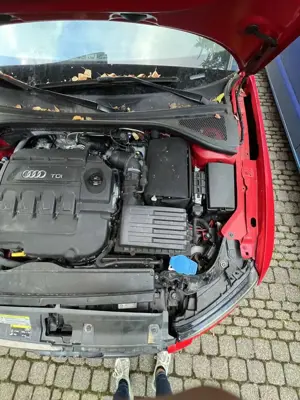 Audi A3 2.0 TDI Sportback (clean die.) quattro S tronic At Bild 5