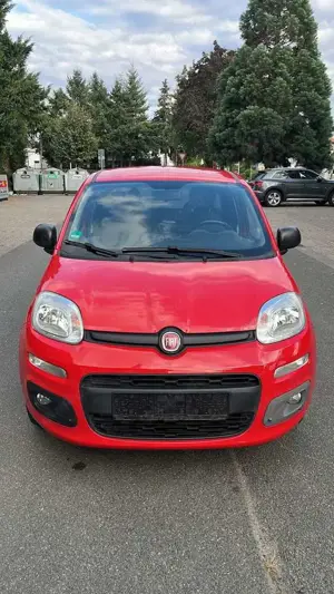 Fiat Panda More/2Hand/Scheckheft/Tempo/Klima/ Bild 2