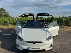 Tesla Model X Model X 100D /22 Zoll / neuer Akku