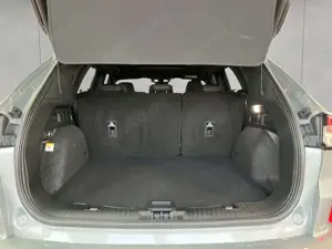 Ford Kuga 1.5 EcoBoost ST-LINE X Bild 4