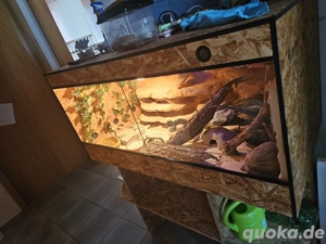 Terrarium 120x50x60