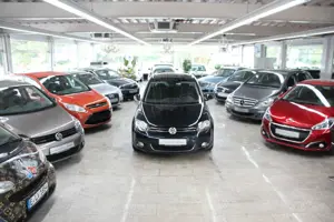 Volkswagen Golf Plus VI Style