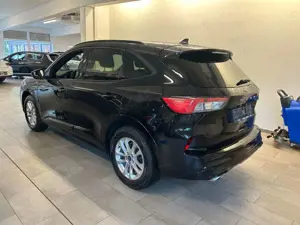 Ford Kuga ST-Line Bild 4