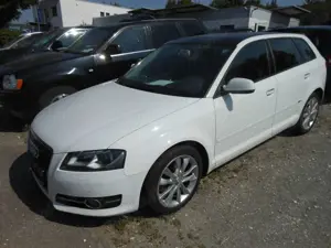 Audi A3 1.6 TDI Ambition PANOROMA Bild 3