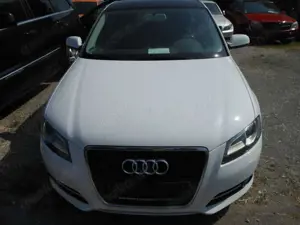 Audi A3 1.6 TDI Ambition PANOROMA Bild 1