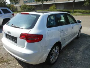 Audi A3 1.6 TDI Ambition PANOROMA Bild 5