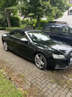Audi A5 Cabrio 3.0 TDI DPF quattro S tronic