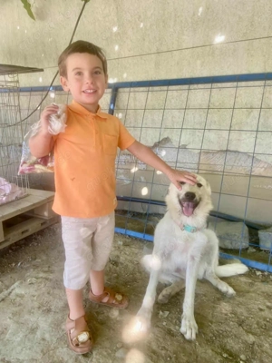 Freddy - der Freundliche! Bild 3