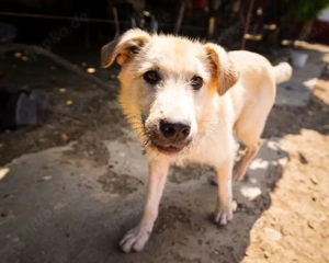 Freddy - der Freundliche! Bild 5