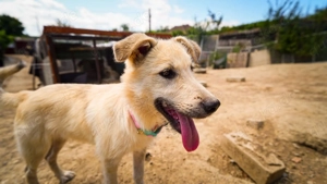 Freddy - der Freundliche! Bild 4