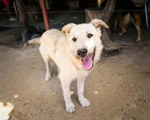 Freddy - der Freundliche! Bild 2