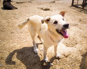 Freddy - der Freundliche!