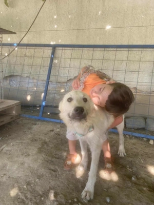 Freddy - der Freundliche! Bild 9