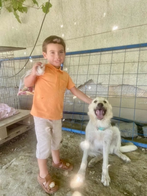 Freddy - der Freundliche! Bild 6