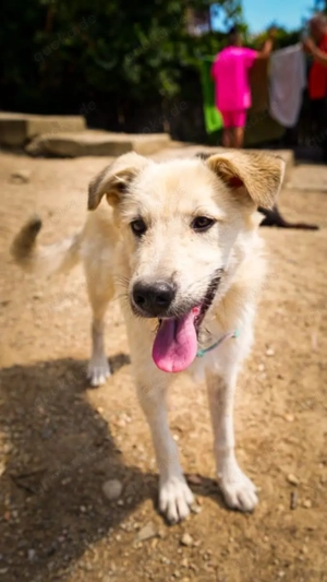 Freddy - der Freundliche! Bild 8