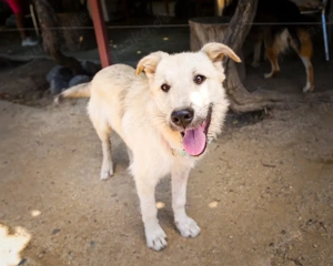 Freddy - der Freundliche! Bild 10