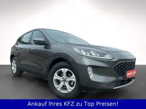 Ford Kuga PHEV CC SitzLenkradh+PDC+Klimaautom+Navi Bild 2