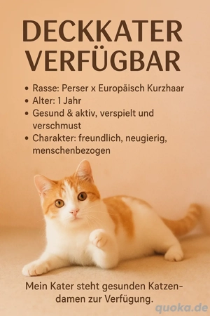 deckkater 