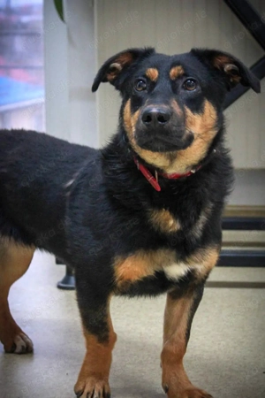 Kleine, schüchterne Rica sucht liebe Menschen