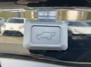 Toyota RAV 4 2.5 4x2 Hybrid Team Deutschland Bild 2