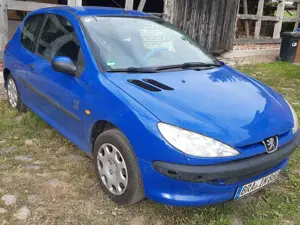 Peugeot 206 206 60 Pop Art