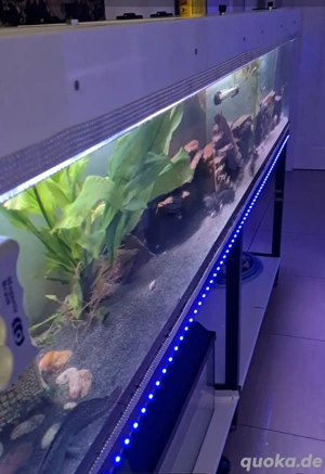 Super Aquarium Hochglanz Weiss  Bild 2