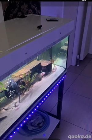 Super Aquarium Hochglanz Weiss  Bild 4