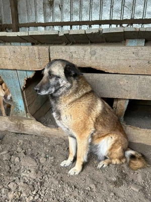Rona sucht Menschen mit Erfahrung Bild 4