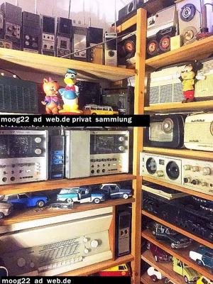 Braun T1000  T 520 T 220 Kofferradiios, SK 61 ,Atelier 1+81 , dic 60er Kofferradios+CB  suche dito