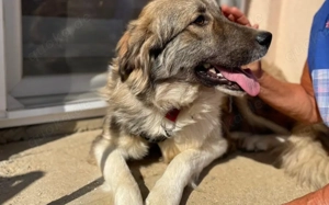 Tequila lässt dein Herz aufgehen! Bild 6