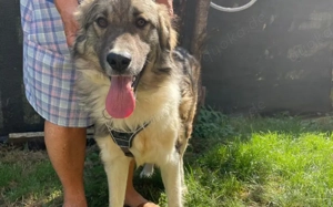 Tequila lässt dein Herz aufgehen! Bild 8