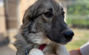 Tequila lässt dein Herz aufgehen! Bild 7