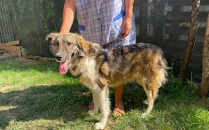 Tequila lässt dein Herz aufgehen! Bild 10