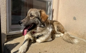 Tequila lässt dein Herz aufgehen! Bild 9