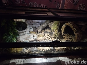 ExoTerra 90x30x30 Terrarien 