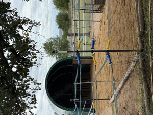 Offenstallplatz für Pony