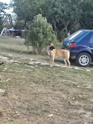 Will mich denn keiner haben 