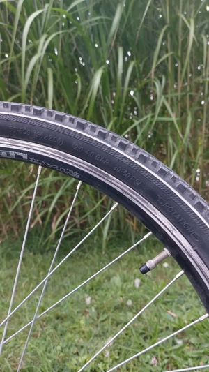 Fahrrad PEGASUS Avanti Sport 26 Zoll wei Bild 6